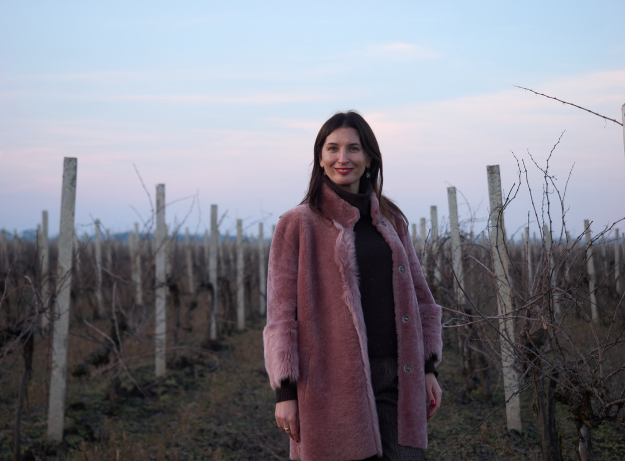 Обрізка винограду – Блог про вино та міцні алкогольні напої Wine Blog