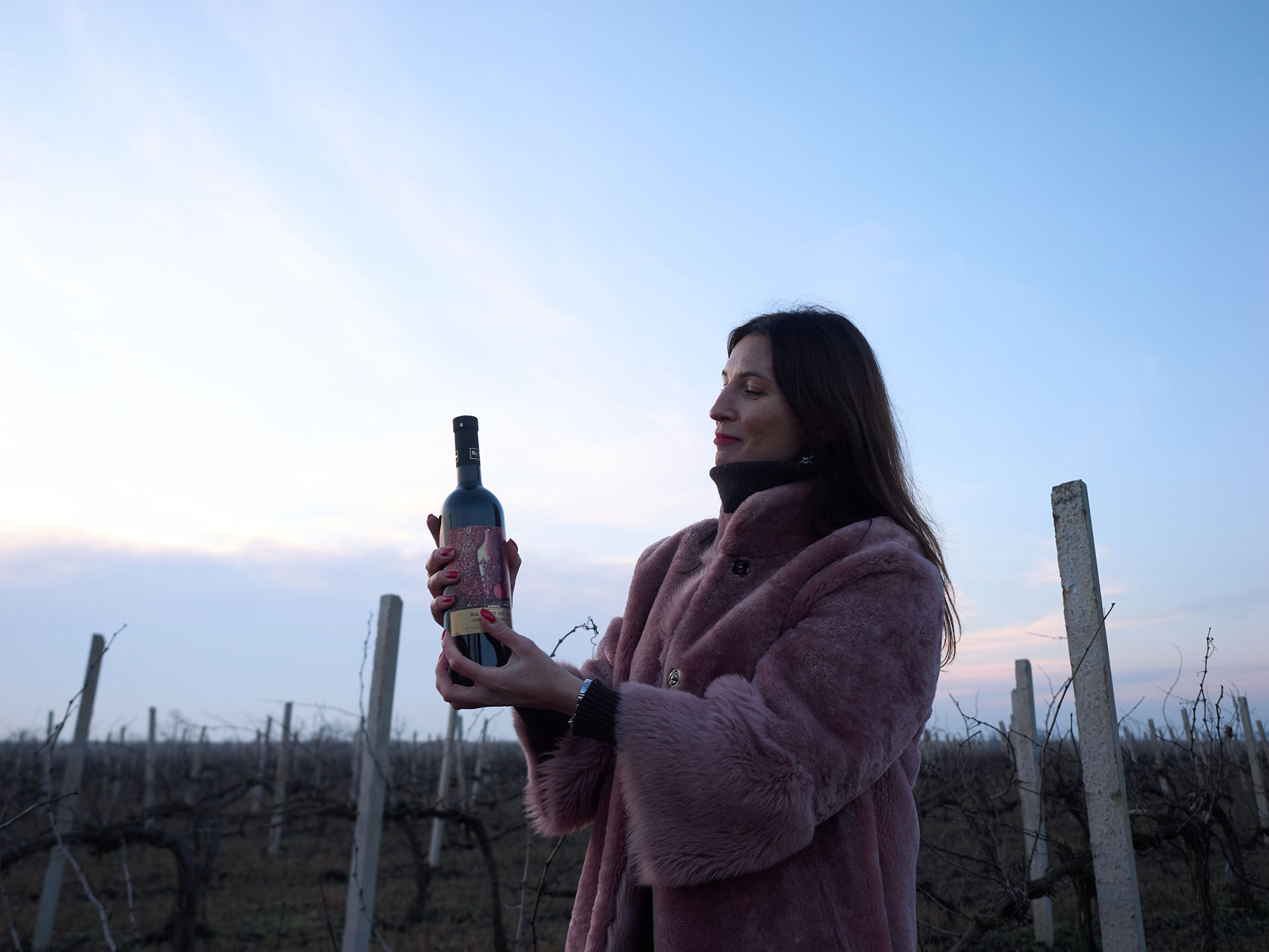 Виноградники Big Wines – Блог о вине и крепких алкогольных напитках Wine Blog